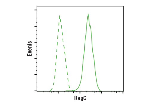 mTOR Regulation Antibody Sampler Kit