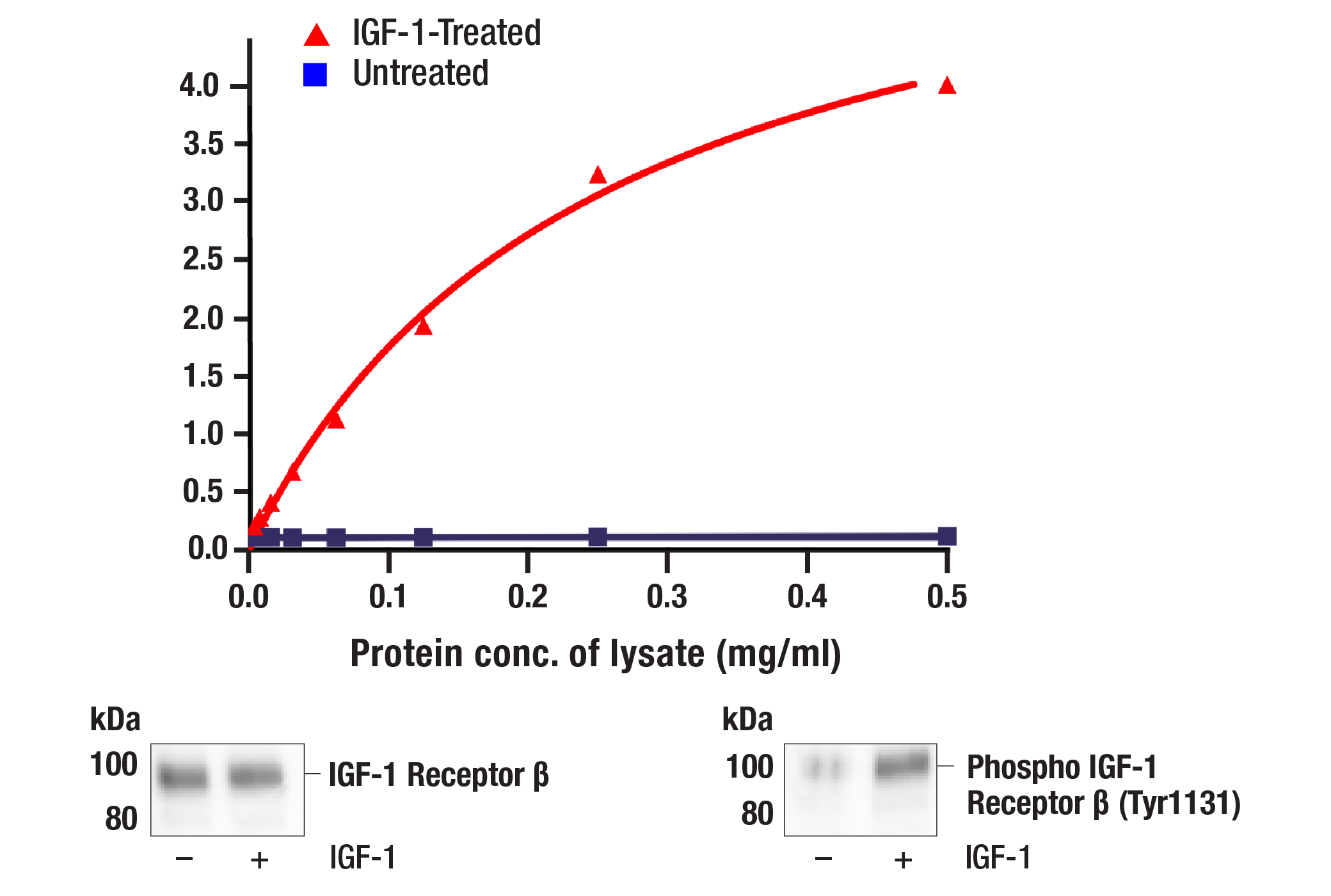 PathScan ®  RP Phospho-IGF-I Receptor beta (Tyr1131) Sandwich ELISA Kit