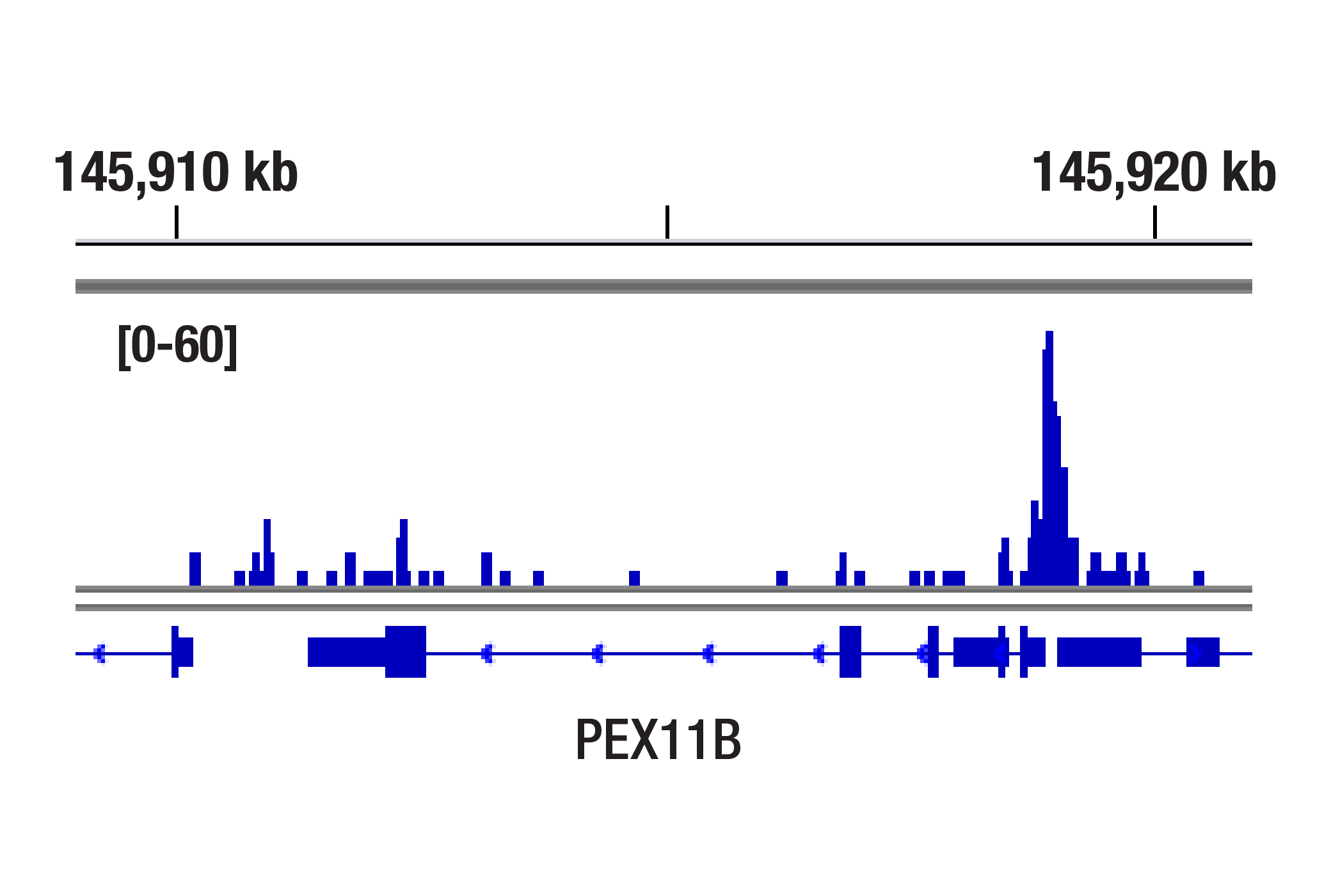 Hypoxia Pathway Antibody Sampler Kit