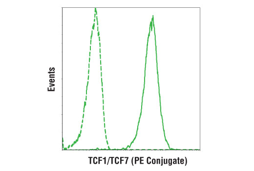 Mouse Progenitor Exhausted CD8+ T Cell Markers Flow Cytometry Panel