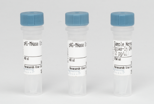 CUT&RUN pAG-MNase and Spike-In DNA