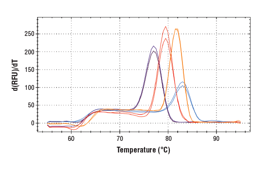 SimpleChIP ®  Universal qPCR Master Mix