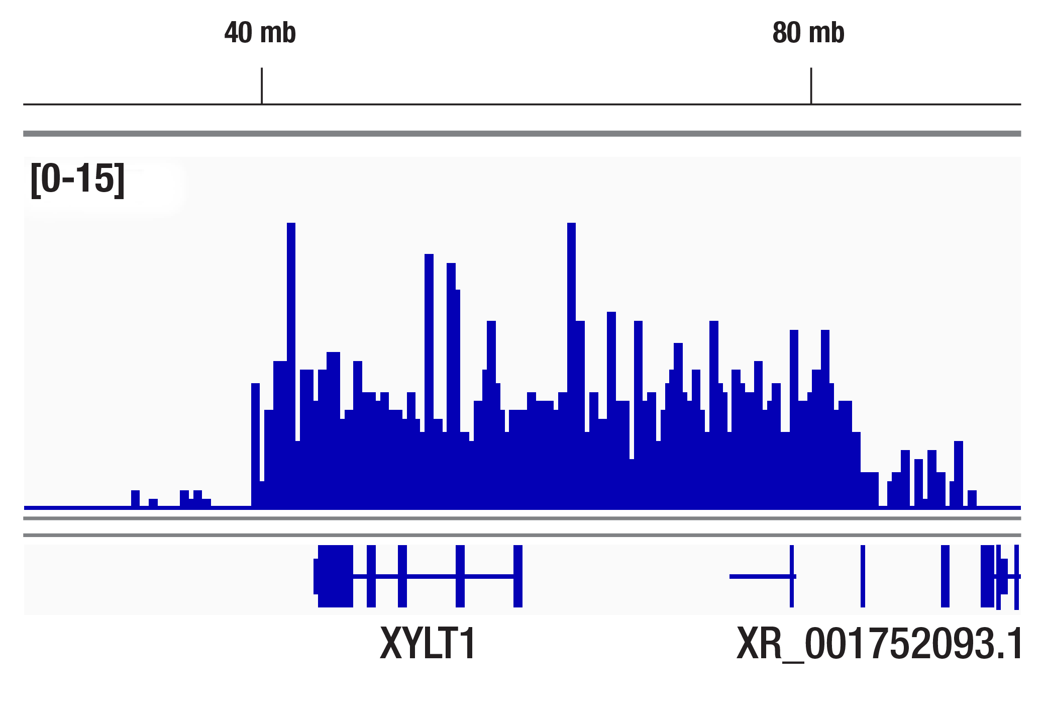 Methyl-Histone H3 (Lys9) Antibody Sampler Kit