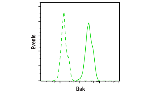 Pro-Apoptosis Bcl-2 Family Antibody Sampler Kit