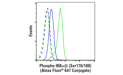 CST_Phospho-IKKalpha/beta (Ser176/180) (16A6) Rabbit mAb (Alexa Fluor ...