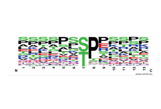 PTMScan ®  Phospho-Ser/Thr-Pro Motif [p(S/T)P] Kit