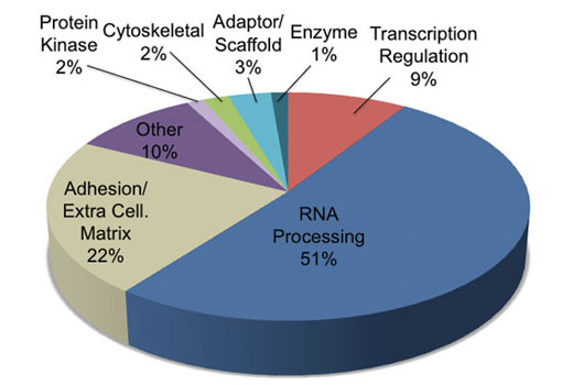 PTMScan ®  Symmetric Di-Methyl Arginine Motif [sdme-RG] Kit