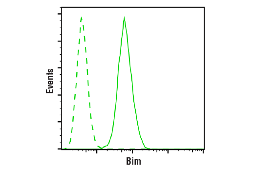 Pro-Apoptosis Bcl-2 Family Antibody Sampler Kit