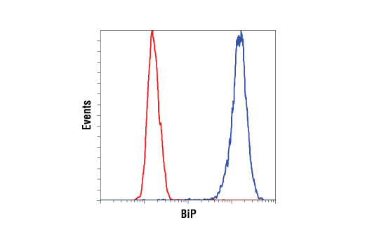 ER Stress-induced Autophagy Antibody Sampler Kit