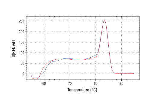 SimpleChIP ®  Human NFE2L2 Intron 1 Primers