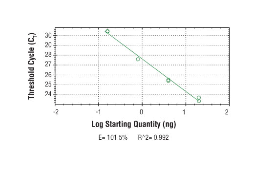 SimpleChIP ®  Human Nanog Promoter Primers