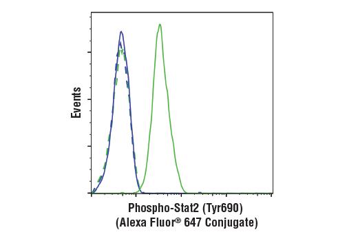 Phospho-Stat2 (Tyr690) (D3P2P) Rabbit mAb (Alexa Fluor ®  647 Conjugate)