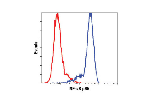 NF-kappaB Pathway Antibody Sampler Kit