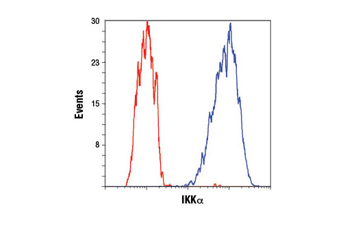 NF-kappaB Pathway Antibody Sampler Kit