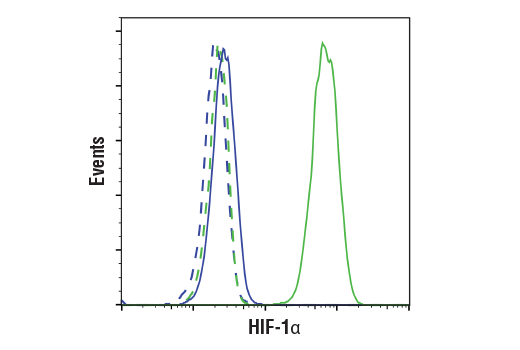 Hypoxia Pathway Antibody Sampler Kit