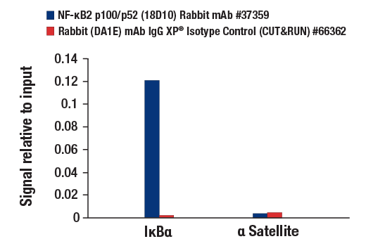 NF-kappaB Family Antibody Sampler Kit II