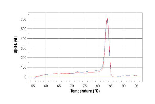 SimpleChIP ®  Human IkappaBalpha Promoter Primers