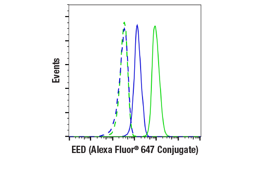 EED (E4L6E) XP® Rabbit mAb (Alexa Fluor® 647 Conjugate)