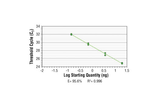 SimpleChIP ®  Human ID1 Promoter Primers