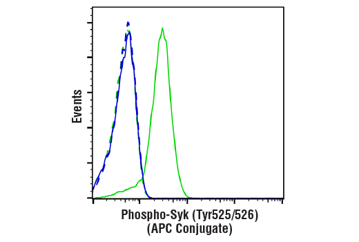 Phospho-Syk (Tyr525/526) (C87C1) Rabbit mAb (APC Conjugate)