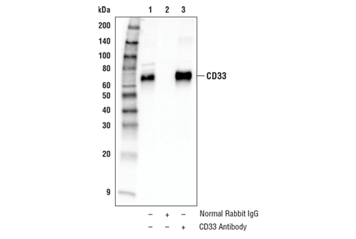 Human TREM2 Activity Antibody Sampler Kit