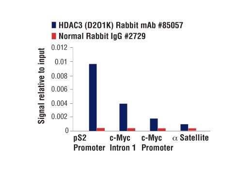 Class I HDAC Antibody Sampler Kit