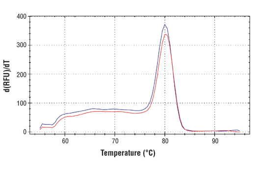 SimpleChIP ®  Human ZNF335 Promoter Primers