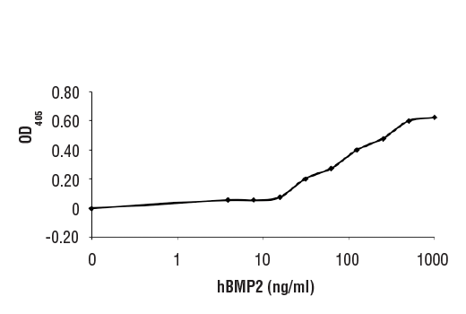 Human BMP-2 Recombinant Protein