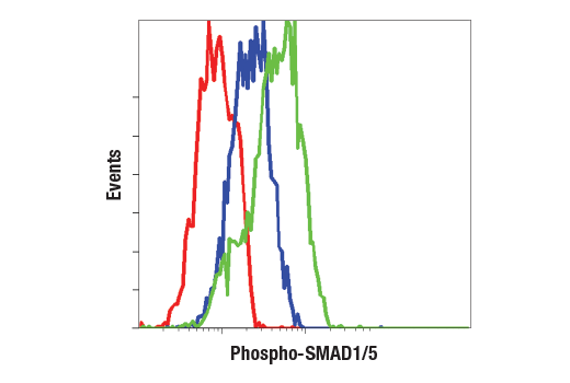 SMAD 1/5/9 Antibody Sampler Kit