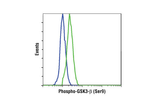 Phospho-Akt Pathway Antibody Sampler Kit