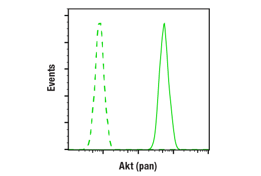 Phospho-Akt Isoform Antibody Sampler Kit