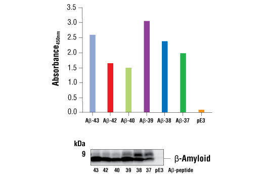 FastScan™ beta-Amyloid ELISA Kit