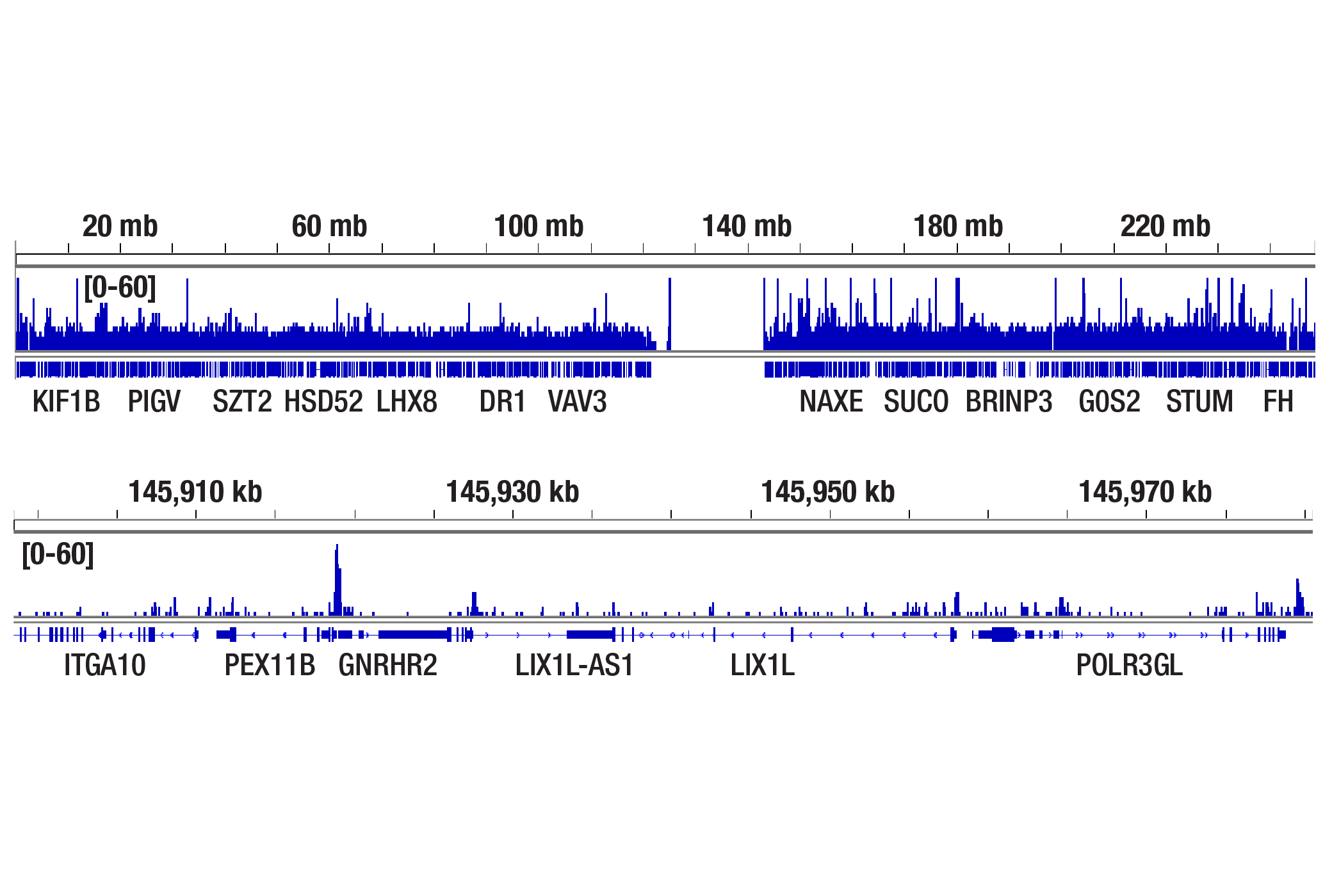 Hypoxia Pathway Antibody Sampler Kit