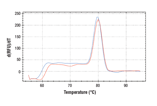 SimpleChIP ®  Human ASXL1 Upstream Primers