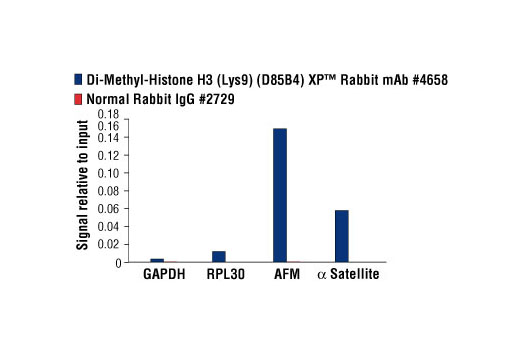 Methyl-Histone H3 (Lys9) Antibody Sampler Kit