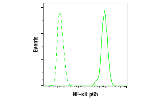NF-kappaB Family Member Antibody Sampler Kit