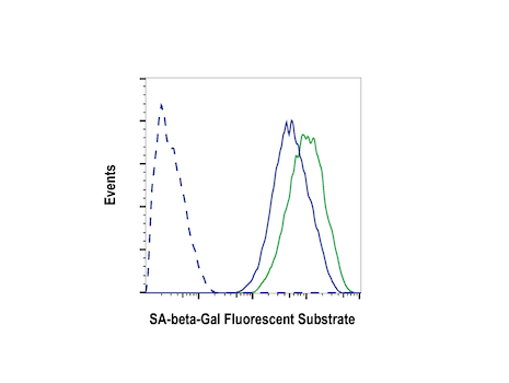 Senescence beta-Galactosidase Activity Assay Kit (Fluorescence, Flow Cytometry)