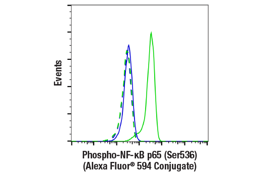 Phospho-NF-kappaB P65 -Ser536- -93H1- Rabbit MAb -Alexa Fluor - 594 ...