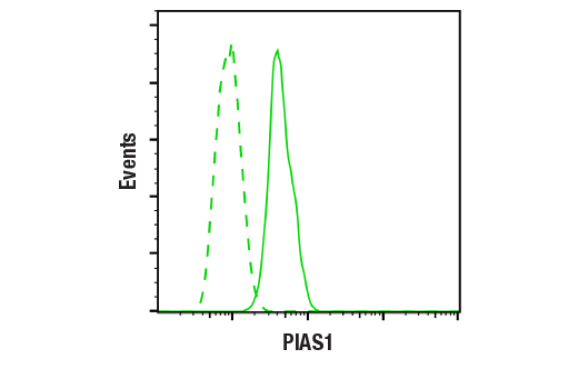 Jak/Stat Pathway Inhibitors Antibody Sampler Kit