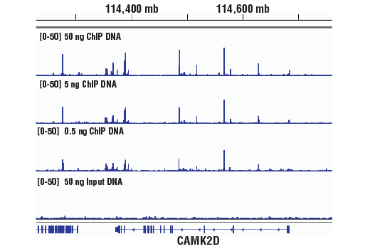 DNA Library Prep Kit for Illumina Systems (ChIP-seq, CUT&RUN)