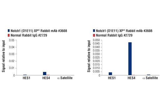 Notch Activated Targets Antibody Sampler Kit