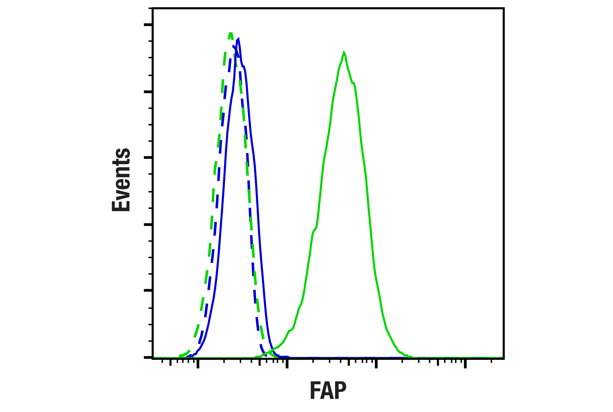 Cancer Associated Fibroblast Marker Antibody Sampler Kit