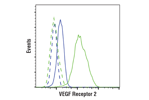 Phospho-VEGF Receptor 2 Antibody Sampler Kit