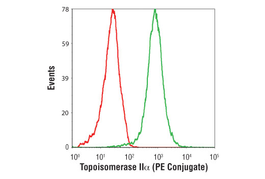 Topoisomerase IIalpha (D10G9) XP ®  Rabbit mAb (PE Conjugate)