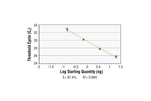 SimpleChIP ®  Human PRF1 Promoter Primers