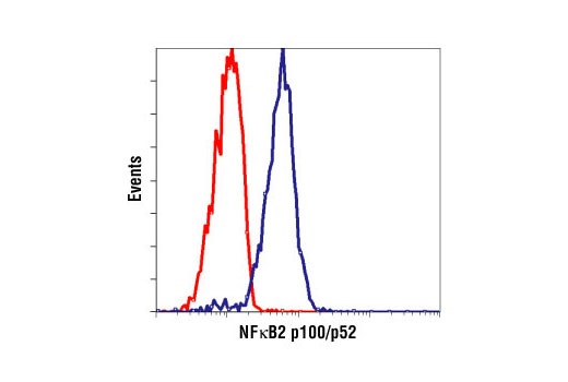 NF-kappaB Family Member Antibody Sampler Kit