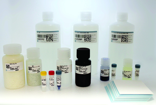 Western Blotting Application Solutions Kit