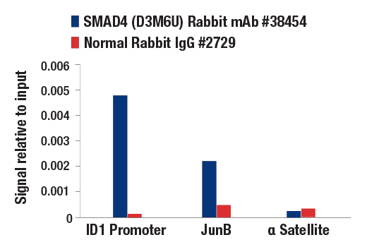 SMAD2/3 Antibody Sampler Kit