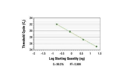 SimpleChIP ®  Human ESR1 Promoter Primers