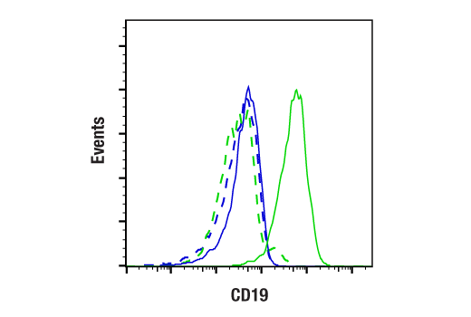 Mouse Immune Cell Phenotyping IHC Antibody Sampler Kit